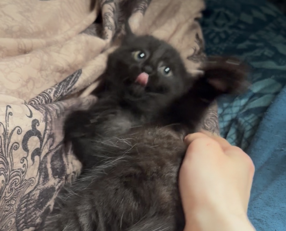 silly baby