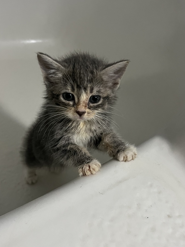wet baby
